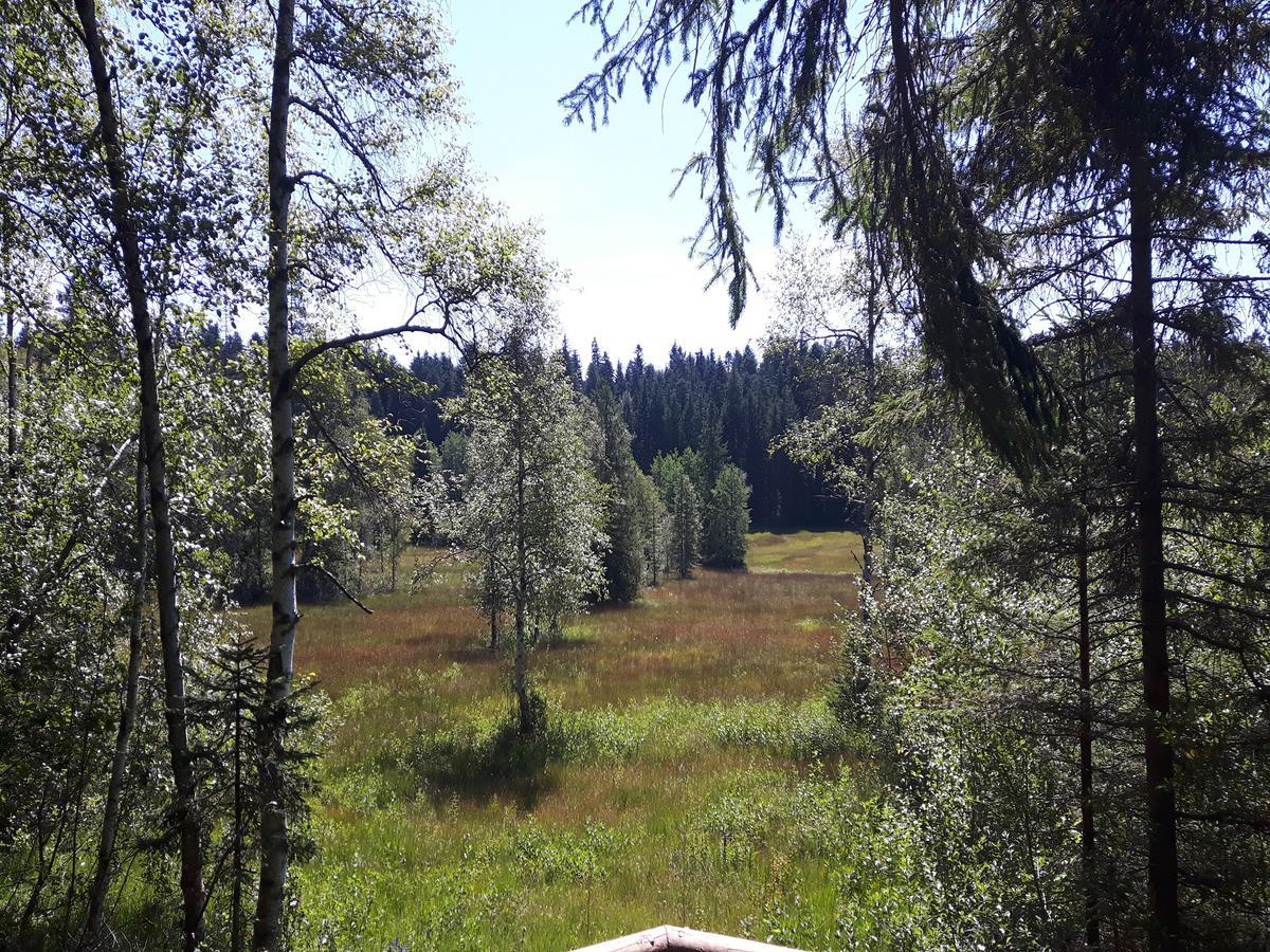 Ferienwohnung Sonnenschein Heimenkirch Exteriör bild