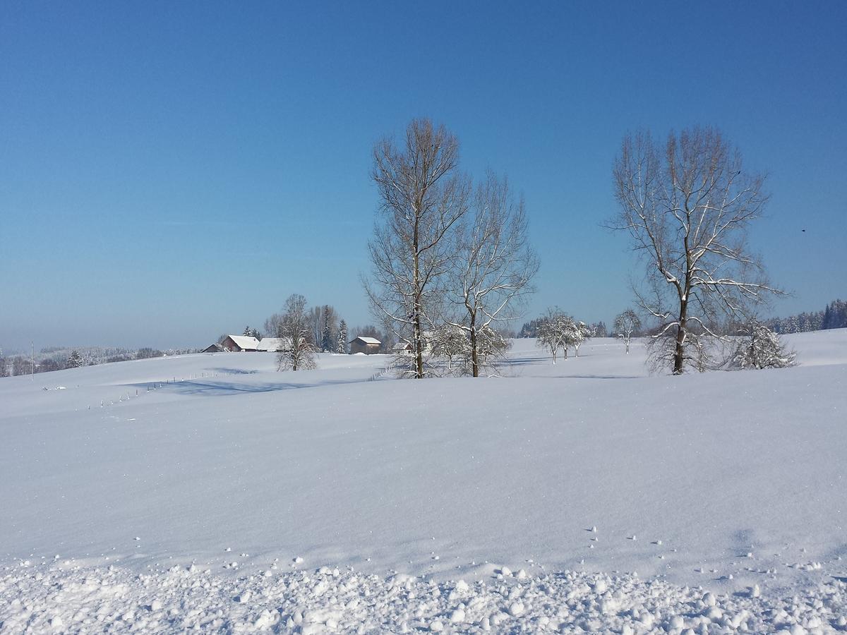 Ferienwohnung Sonnenschein Heimenkirch Exteriör bild
